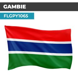 Drapeau GAMBIE