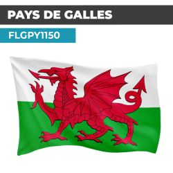 Drapeau PAYS DE GALLES