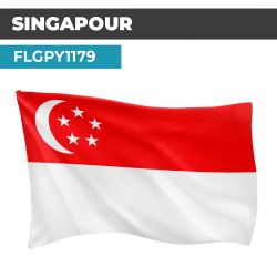 Drapeau SINGAPOUR