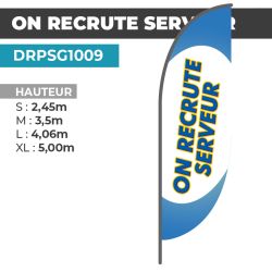 Drapeau ON RECRUTE SERVEUR