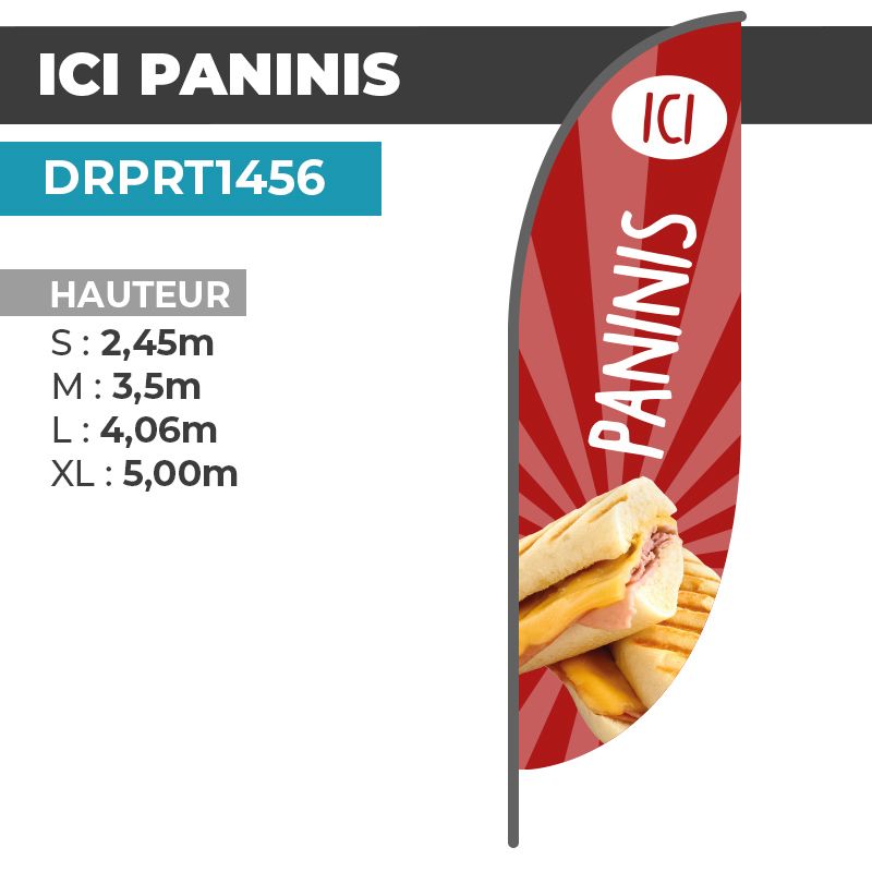 Drapeau PANINIS
