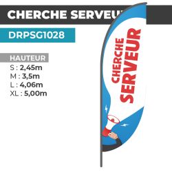 Drapeau CHERCHE SERVEUR