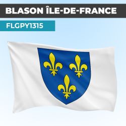 Drapeau ILE DE FRANCE | Pavillon Blanc | Blason Armoirie