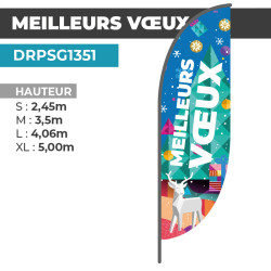Drapeau MEILLEURS VOEUX |...