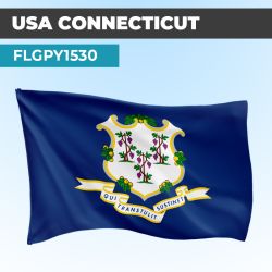Drapeau CONNECTICUT | Pavillon | États Américains