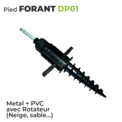 DP01 Pied Forant