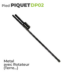 DP02 Pied Piquet
