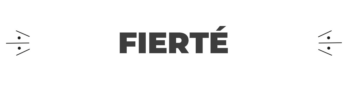 Drapeaux Fierté : LGBT, Trans, Non-Binaire & LGBTQIA+ | Boutique PRO