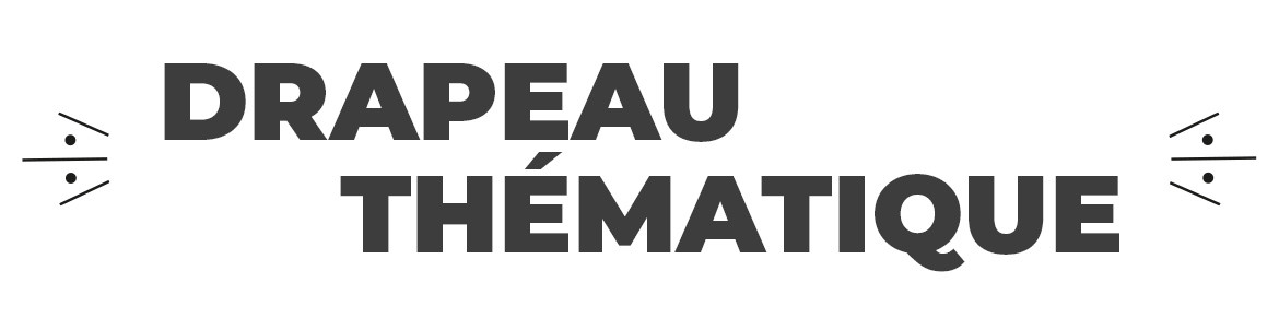 🚩 Acheter Oriflamme professionnels - Gros Choix de Modèles - Prix bas