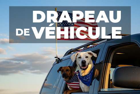 Drapeau Véhicule et Mobilité